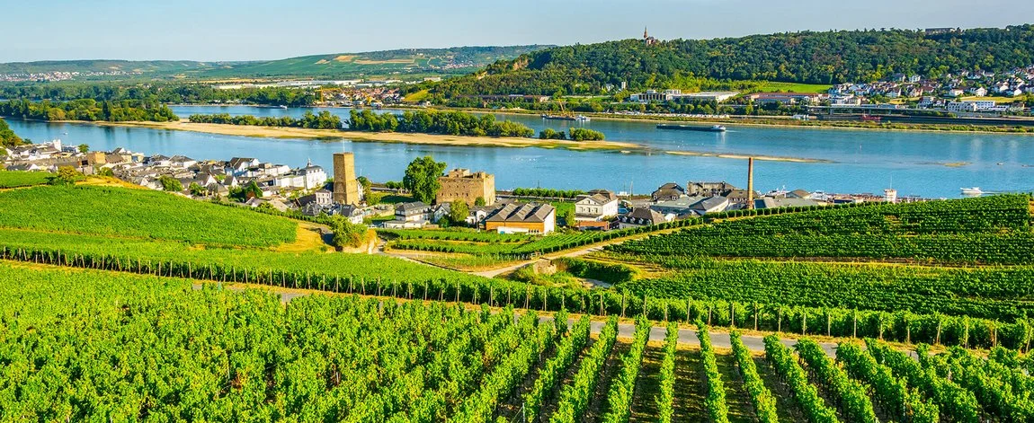 Hochklassische Hochzeit mit DJ Alex Barnett im Rheingau und Wiesbaden