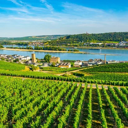 Hochklassische Hochzeit mit DJ Alex Barnett im Rheingau und Wiesbaden